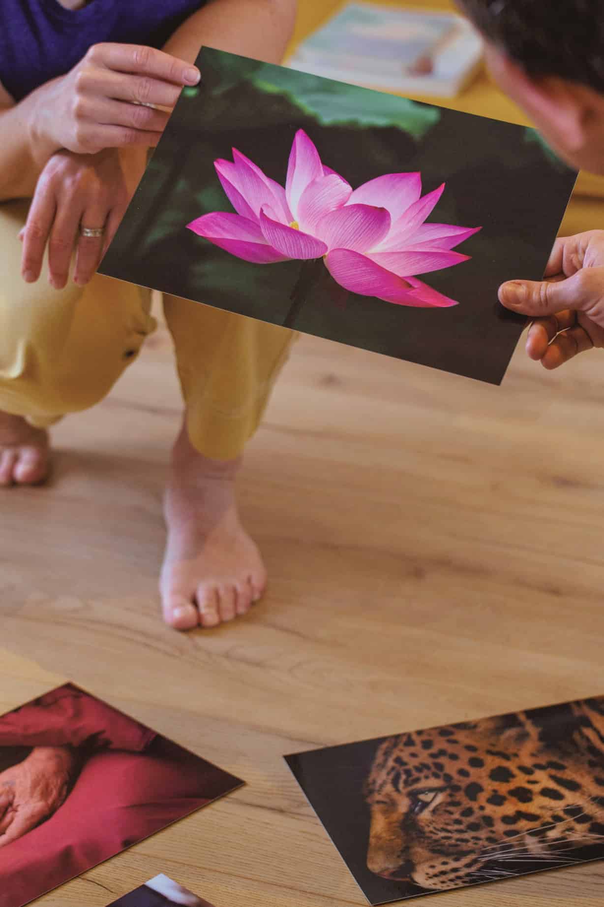 Lotus